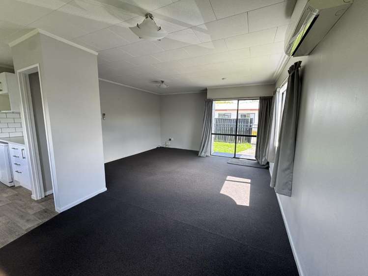 120B Nixon Street Hamilton East_3