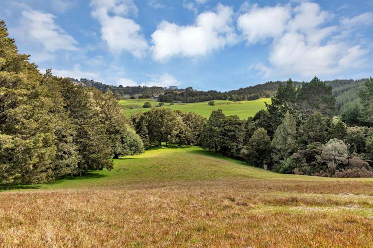 Lot 1, 106 Totara Park Lane Glenbervie_7