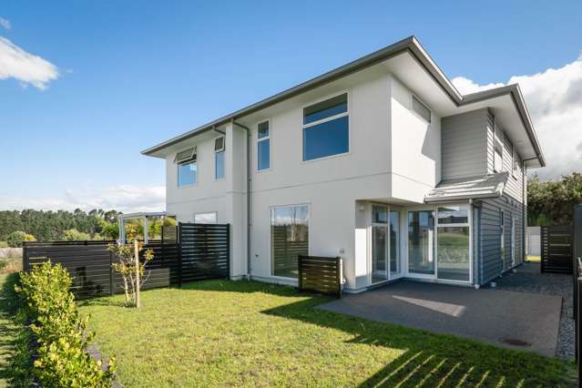 51 Aberdeen Lane Katikati_1