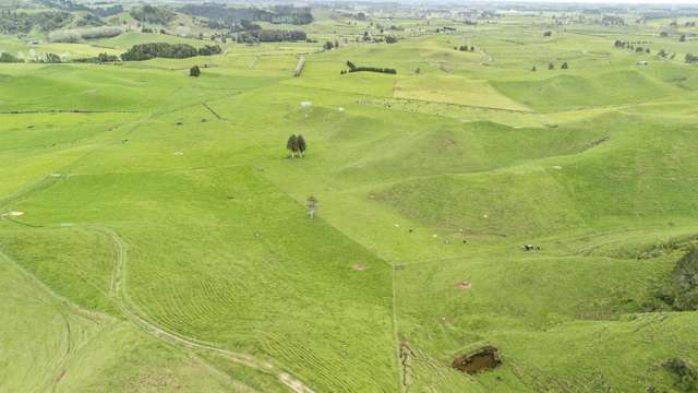 348 Ratapiko Road Ratapiko_4