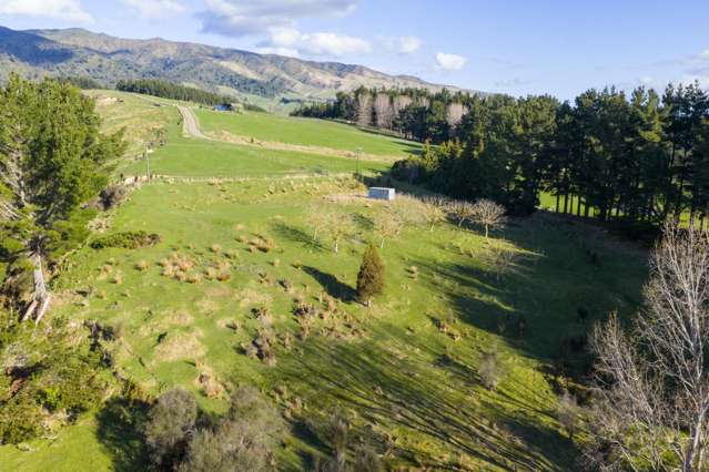 No 1 Line Pohangina_3