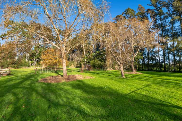 2312 State Highway 16 Helensville_25