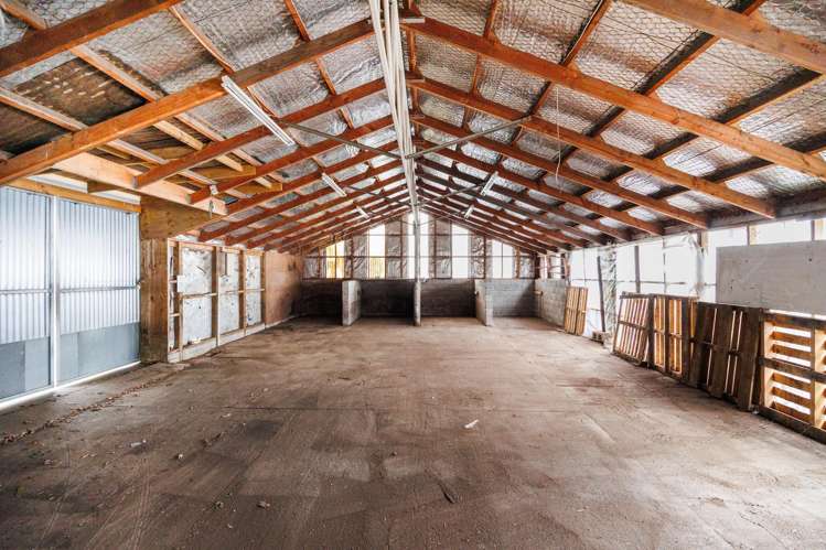 136 Cook Street West End_7