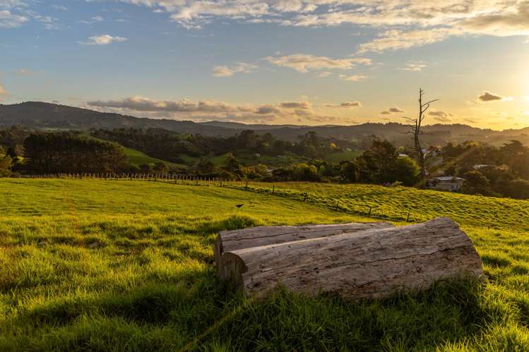 90 McEntee Road Waitakere_32