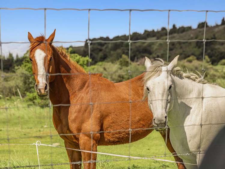 1087 Lake Hawea-Albert Town Road Lake Hawea_26