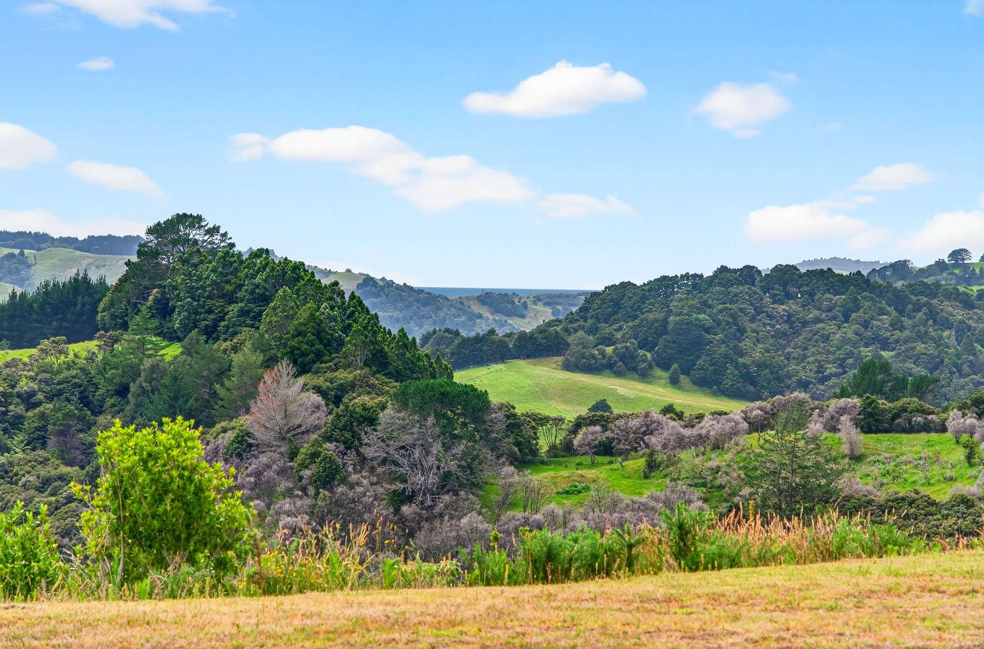 163 Ahuroa Road Puhoi_0