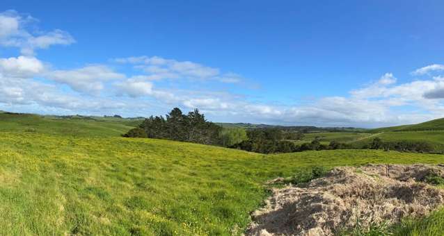 5 Blue Heron Way Kaiwaka_1