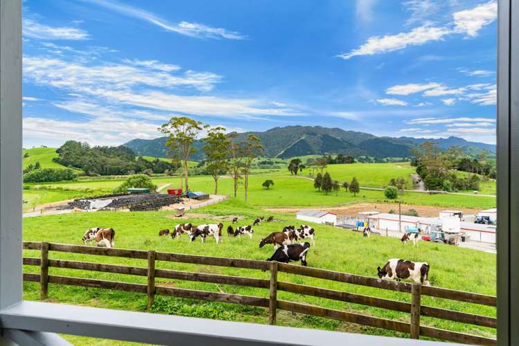 901 Pukehuia Road Tangiteroria_29