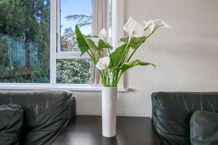 72 Astley Avenue New Lynn_5