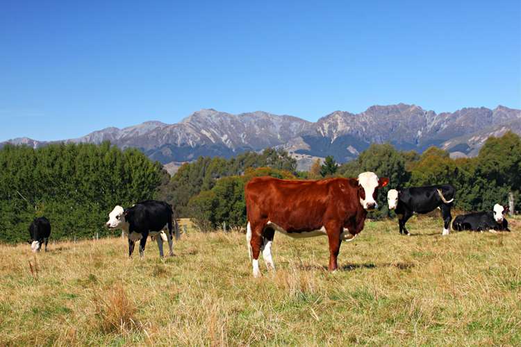 691 Gillespie Road Manapouri_15