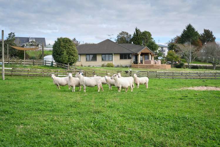 207b Peers Road Kaimai_22
