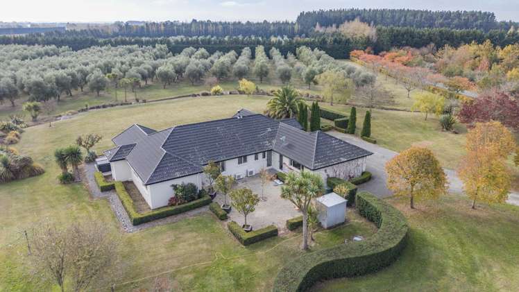 37 Alessio Lane Swannanoa_42