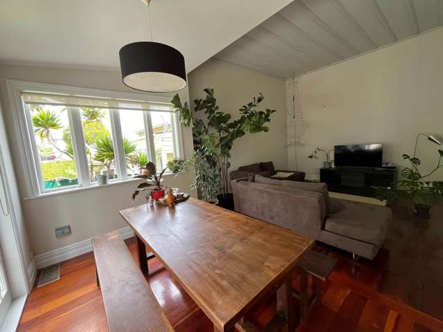 122 Williamson Avenue Grey Lynn_4