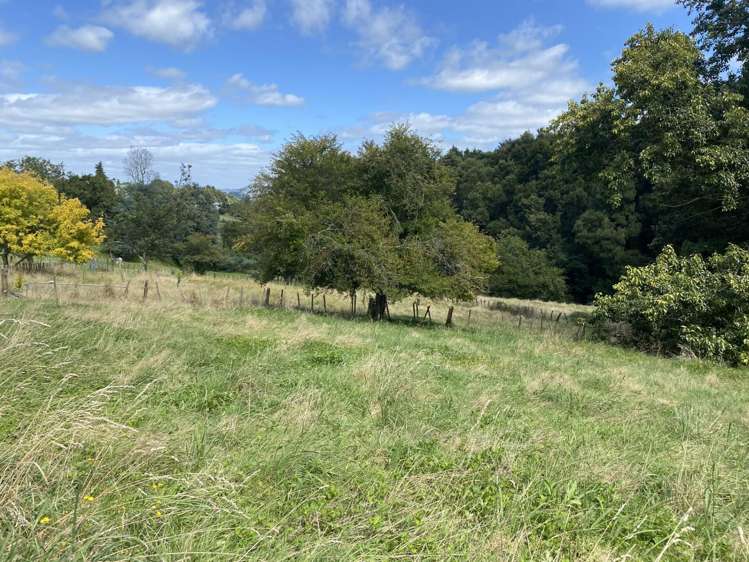 13B Hillcrest Avenue Otorohanga_5