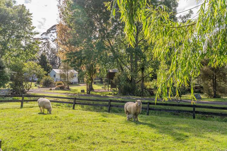 3263 SH 25 Tairua-Whitianga Rd_4