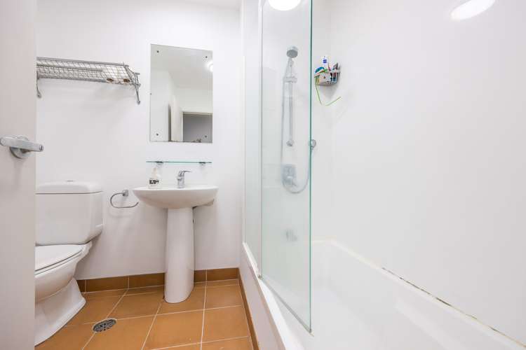 66 Ronayne Street Parnell_14