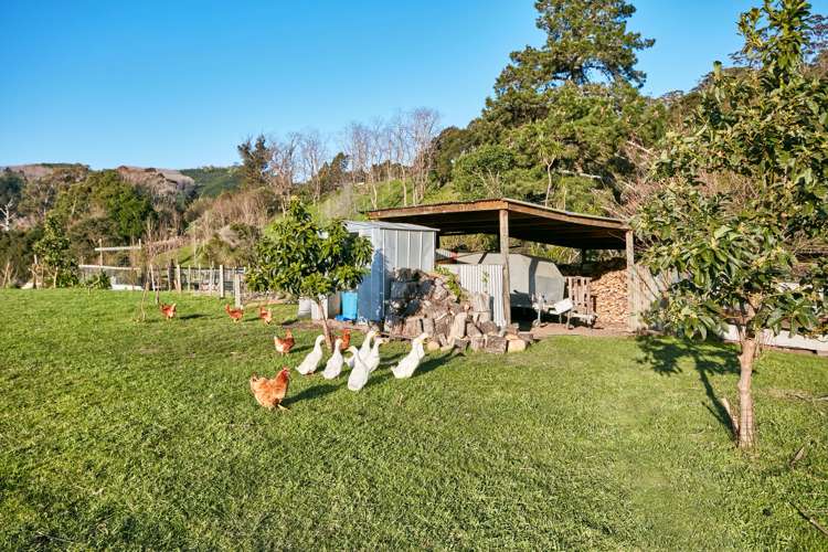 55 Ayton Street Mangapapa_8