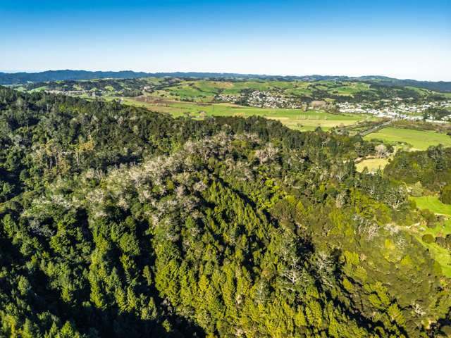 Whangae Road Kawakawa_1