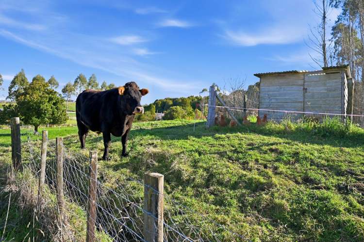 379 Tauranga Direct Road Hamurana_35
