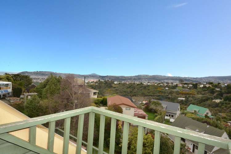 35 Aytoun Street Waverley_19