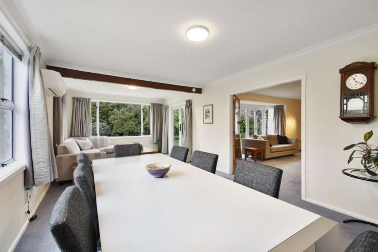 17 Seagrave Place Ilam_4