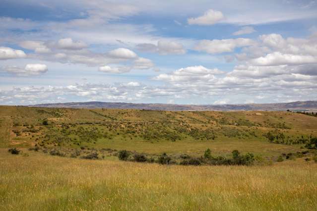 Lot 22 Nelson Ridge Road Alexandra_4