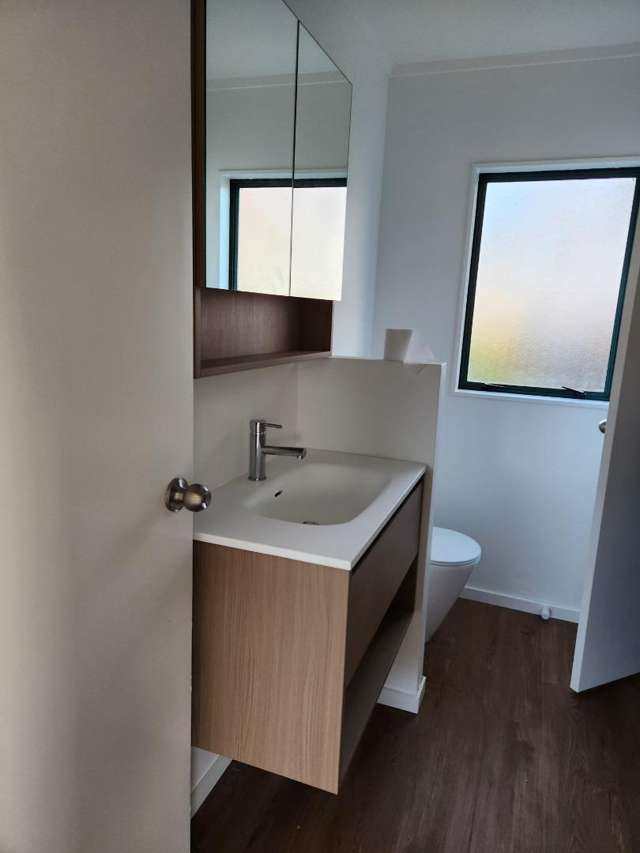 54B Kowhai Street Hamilton Lake_4