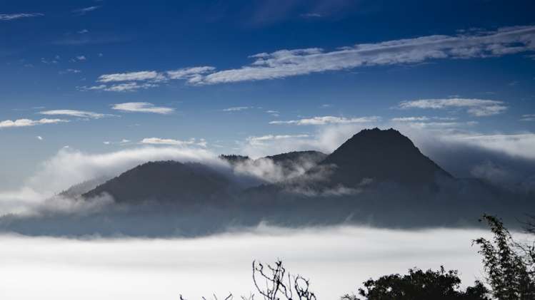 254a Crane Road Kauri_4