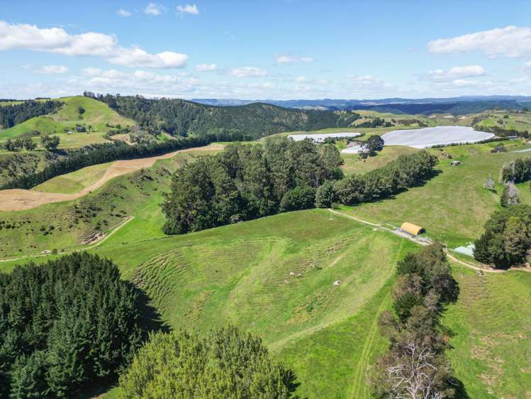 1-6/461 Otamarakau Valley Road Pukehina_18