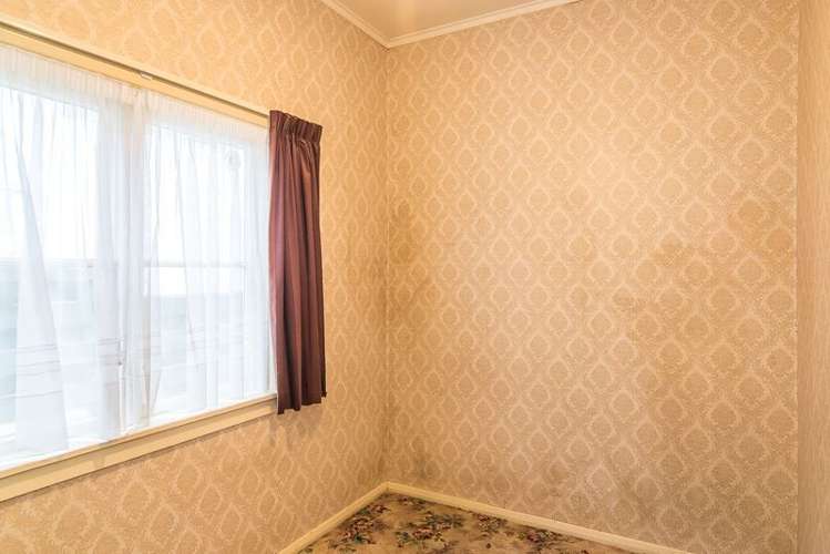 49 Pukatea Street Eastbourne_9