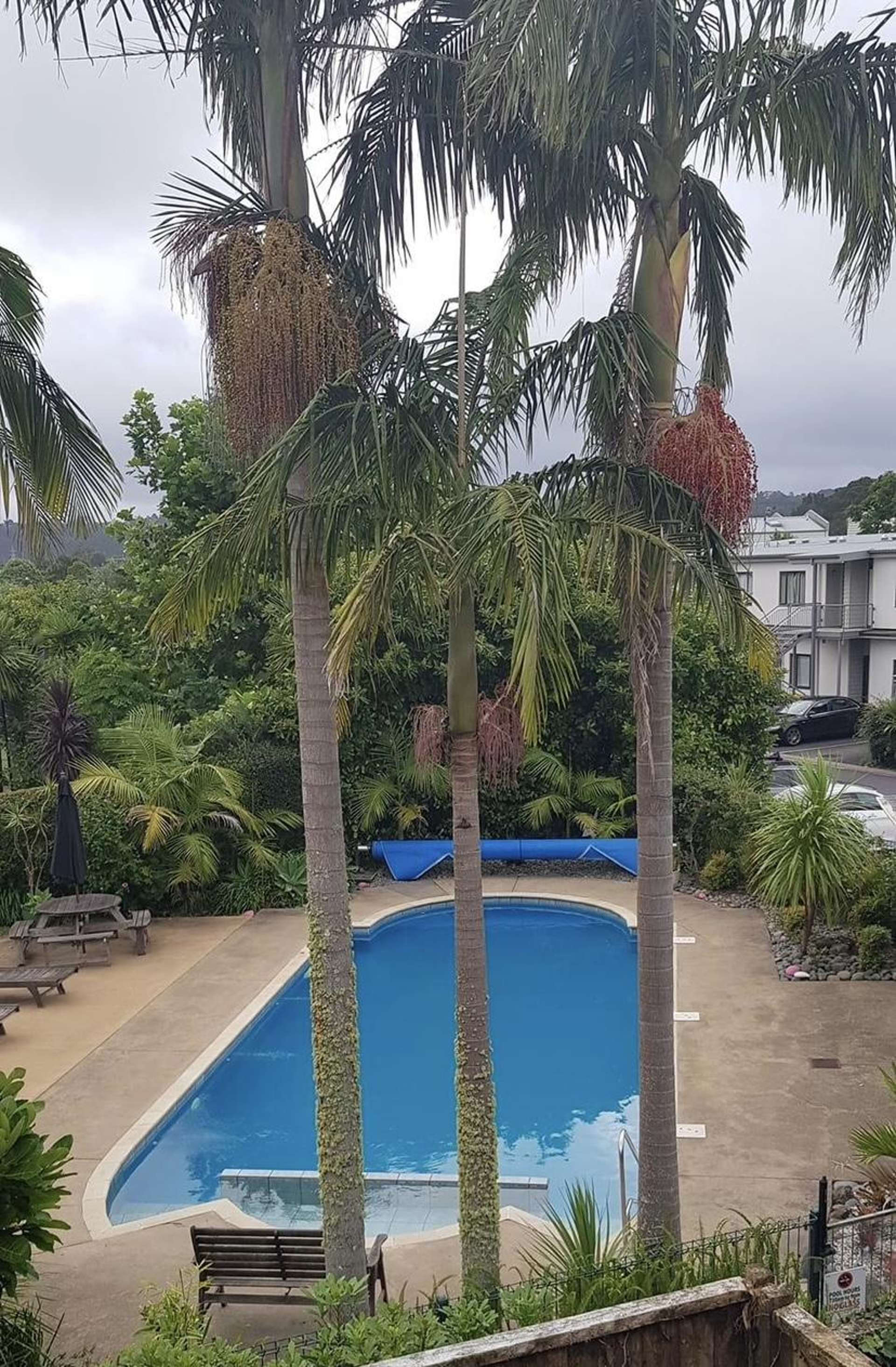 84/92 Bush Road Albany_0