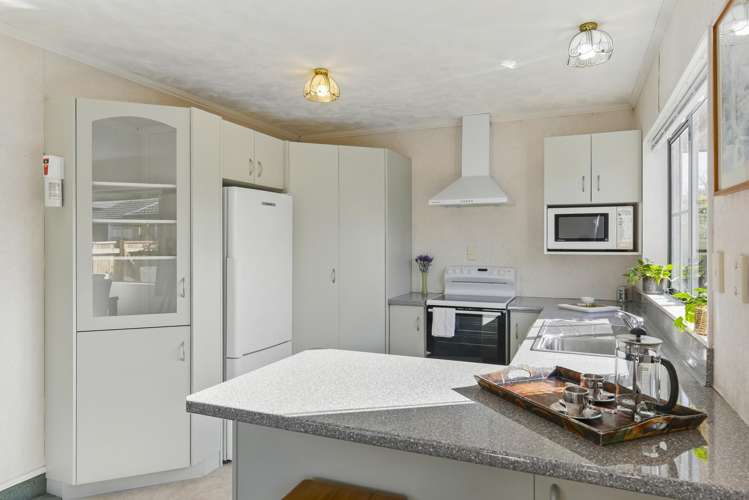 3 Surrey Lane Levin_2