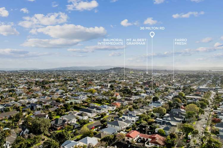 36 Milton Road Mt Eden_25