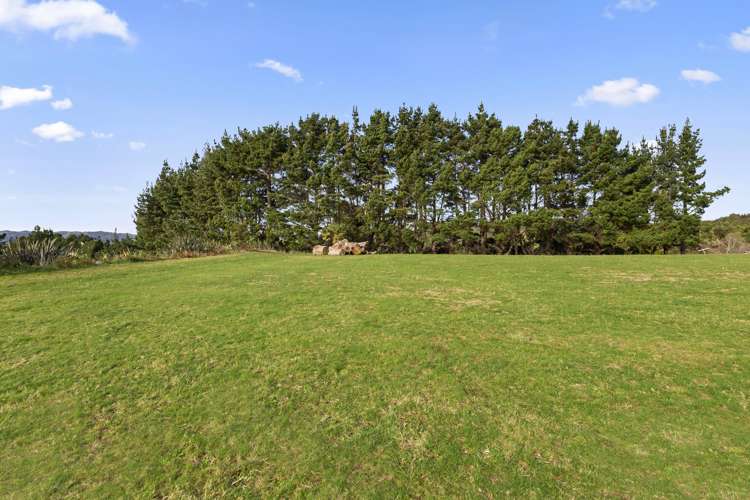 73b Maungatawhiri Road Raglan_18