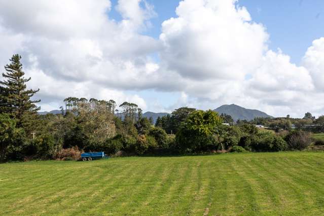 18 Princes Street Waikino_4