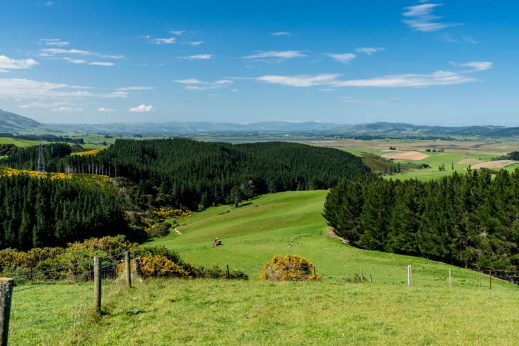 Waihola Hill Road Milton_7