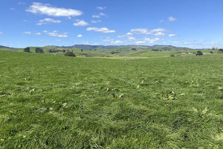 204 Mangatutu Road RD2 Maihiihi_22
