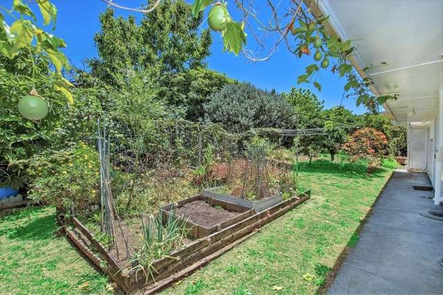 43 Mains Avenue Kensington_3