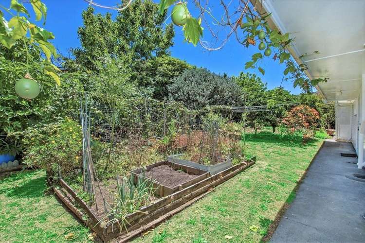 43 Mains Avenue Kensington_3