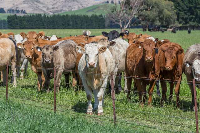 531 Murrays Road Hawarden_3