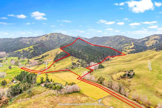 Lot 3 DP194797 Glorit_3