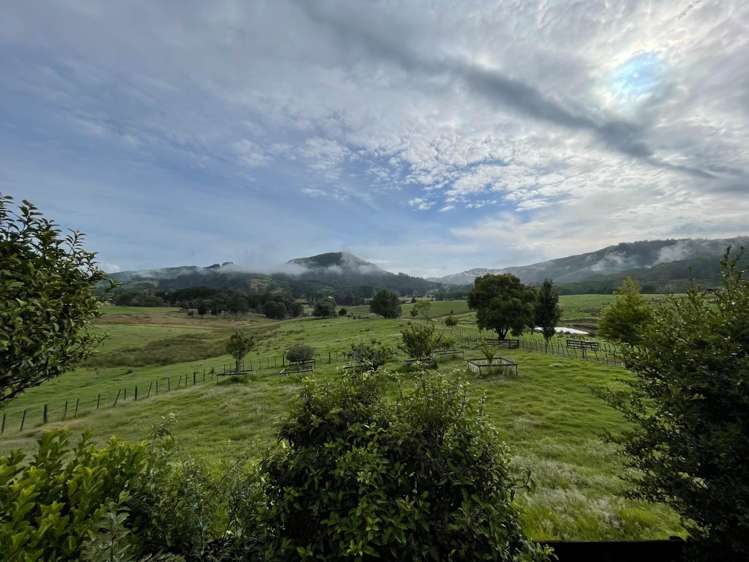 64 Davie Martin Road Kaipara Flats_15