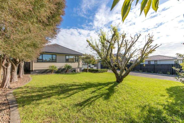 Ward Crescent Te Atatu Peninsula_14