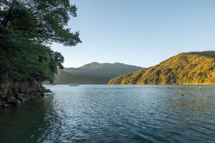 11 Kamahi Road Marlborough Sounds_27