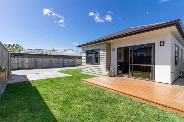 61a Avondale Road Taradale_3