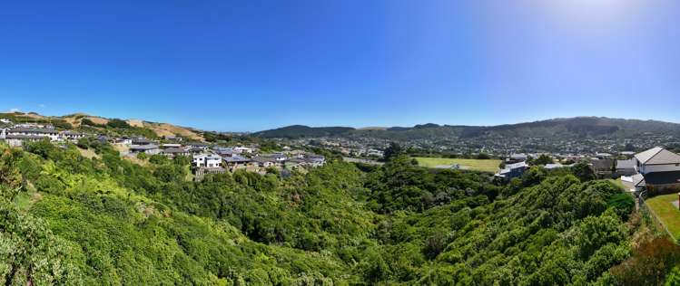 138 Woodman Drive Tawa_36