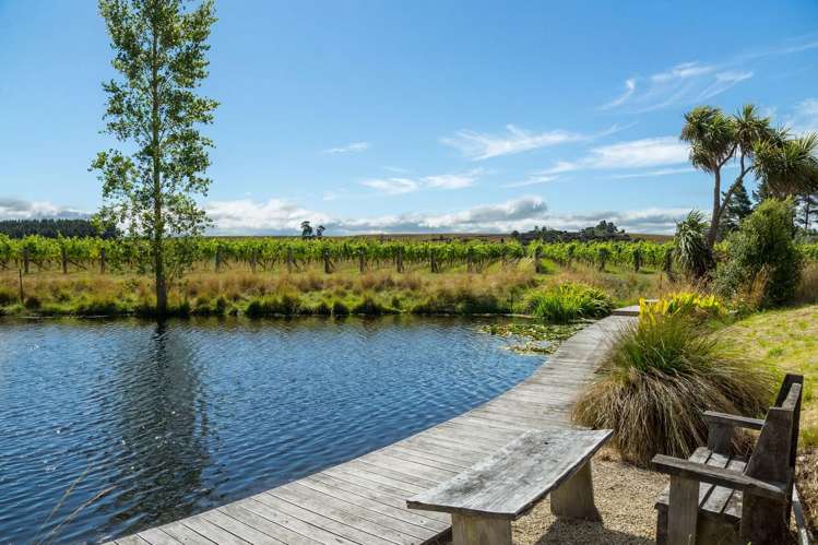 224 Dakins Road East Taratahi_2