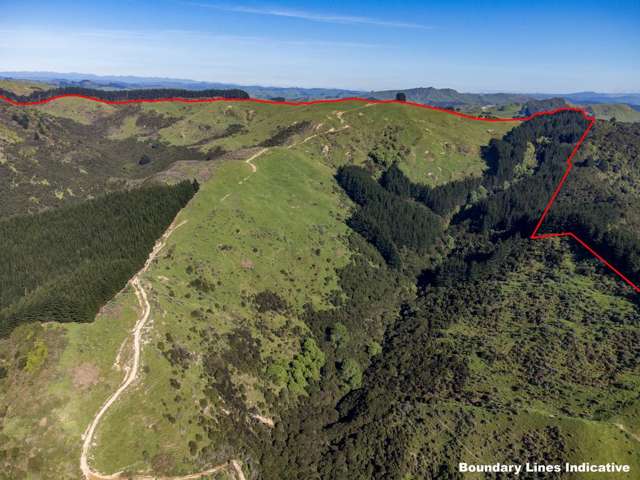 Pack Spur Road Mataikona_4