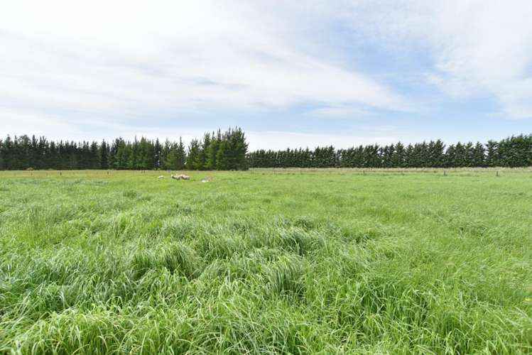 319 Balcairn Amberley Road Balcairn_17