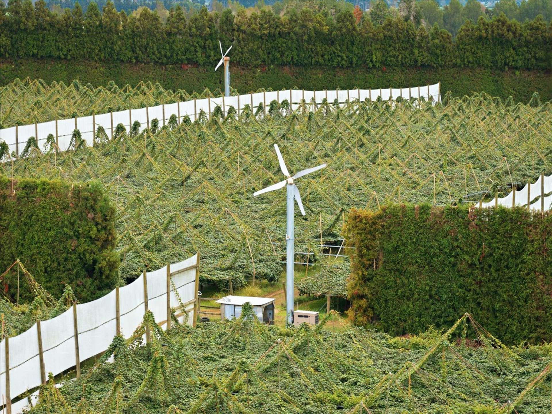 79 Woodlands Road Waihi Beach_0